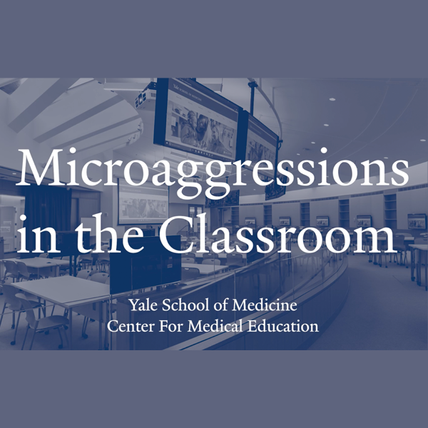 Addressing Microaggressions in the Classroom Banner